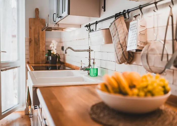 公寓 Usti Downtown Horovka *